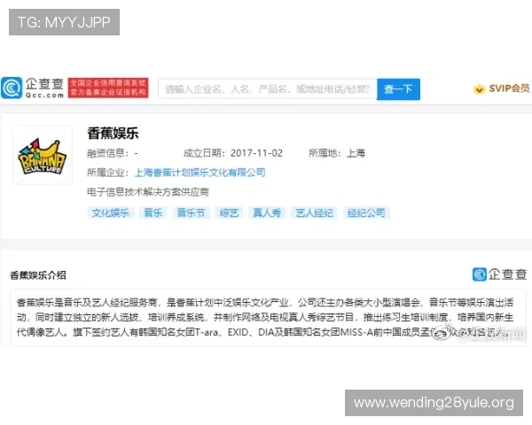 闻鼎娱乐入口安全登录指南，保障玩家账号安全和个人信息隐私保护